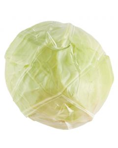 Green Cabbage