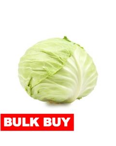 Green Cabbage