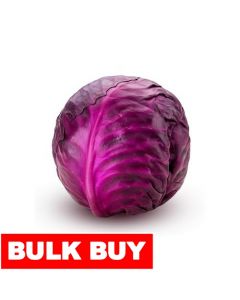 Red Cabbage Unit
