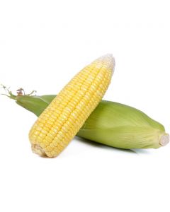 Corn 4 Units