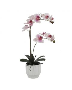 Selection Artificial Orchid in Ceramic Pot