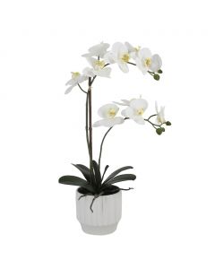 Selection Artificial Orchid in Ceramic Pot
