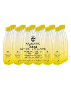 Galvanina Lemon Flavor Sparkling Mineral Water 24 Units / 500 mL / 16.9 oz