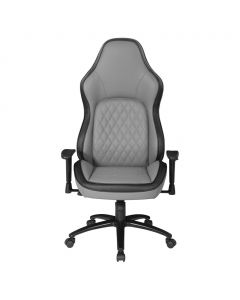 Gaming and Office Ergonomic Chair