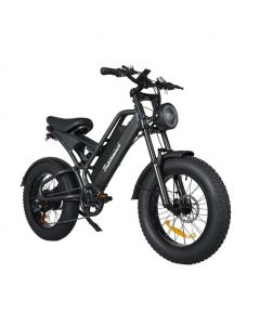 Supermach Full Suspension Electric Bicycle with 750 W Motor